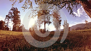 Sunny rural meadow at mountain landscape with green grass, trees and sun rays. Diagonal movement on motorised slider