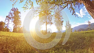 Sunny rural meadow at mountain landscape with green grass, trees and sun rays. Diagonal movement on motorised slider