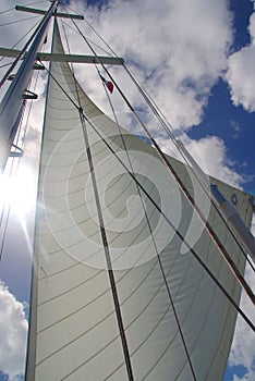 Sunny sailing
