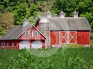 Sunny scenery of a farm territory with two barns