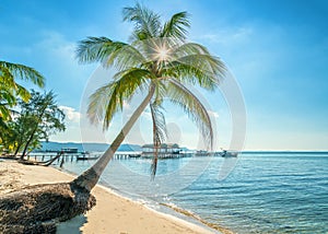 Sunny seascape with tropical palms on beautiful sandy beach in Phu Quoc island, Vietnam