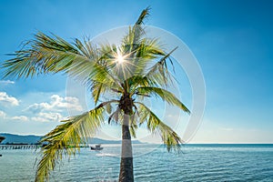 Sunny seascape with tropical palms on beautiful sandy beach in Phu Quoc island, Vietnam