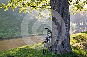 Sunny September morning in the park of Nesvizh