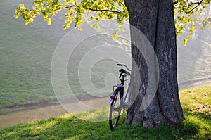 Sunny September morning in the park Nesvizhsky