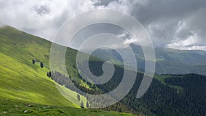 Sunny side of mountain covered in green grass and trees