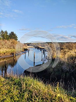 The Sunny Slough