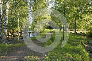 The sunny small park