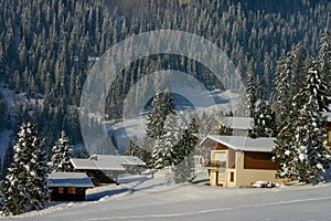 A sunny snow covered landscape of woods and cottages in the mountainside village of Beatenberg in Switzerland