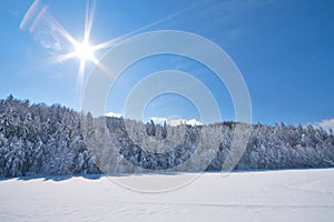 Sunny snow Landscape