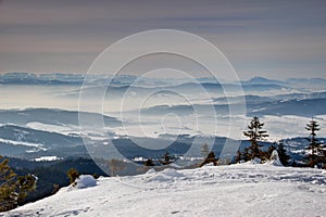 Soleado campos de nieve pino árboles a azul crestas Eslovaquia 