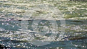 Sunny sparkles in wide mountain river, water flowing over rocks