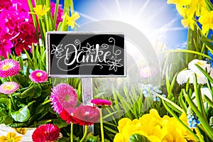 Sunny Spring Flower, Calligraphy Danke Means Thank You