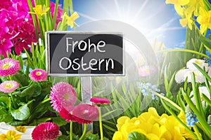 Sunny Spring Flower Meadow, Frohe Ostern Means Happy Easter