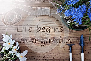 Sunny Spring Flowers, Quote Life Begins In A Garden