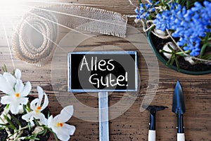 Sunny Spring Flowers, Sign, Alles Gute Means Best Wishes