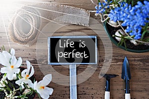 Sunny Spring Flowers, Sign, Quote Life Is Perfect