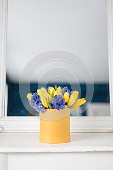 Sunny spring morning. Bunch of blue hyacinths and yellow tulips on white table. Present for a girl. Flowers bouquet in