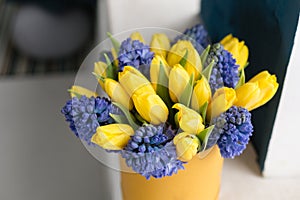 Sunny spring morning. Bunch of blue hyacinths and yellow tulips on white table. Present for a girl. Flowers bouquet in