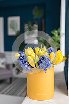 Sunny spring morning. Bunch of blue hyacinths and yellow tulips on white table. Present for a girl. Flowers bouquet in