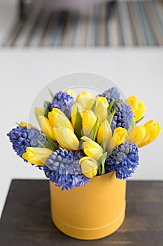 Sunny spring morning. Bunch of blue hyacinths and yellow tulips on wooden table. Present for a girl. Flowers bouquet in