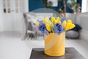 Sunny spring morning. Bunch of blue hyacinths and yellow tulips on wooden table. Present for a girl. Flowers bouquet in