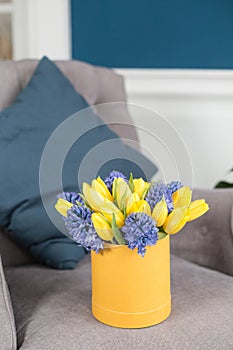 Sunny spring morning. Flowers bouquet in box. Bunch of blue hyacinths and yellow tulips on gray armchair . Present for a
