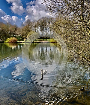 Sunny spring morning on the Pool