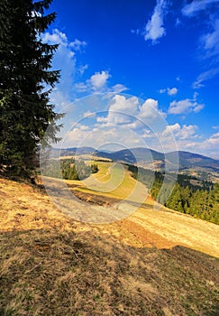 Sunny spring in mountains. Fields and hills