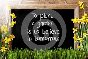 Sunny Spring Narcissus, Chalkboard, Quote Plant Garden Believe In Tomorrow