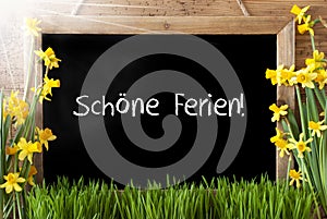 Sunny Spring Narcissus, Chalkboard, Schoene Ferien Means Happy Holidays