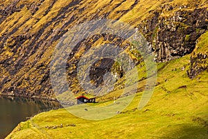Sunny spring view of Saksun village with typical turf-top houses, Faroe Islands
