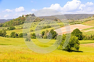 Sunny springtime tuscan country view near Massa Marittima , Italy