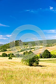 Sunny springtime tuscan country view near Massa Marittima , Italy