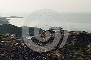 Sunny summer arctic landscape sunset with sea view - slope of granite shore and calm Barents Sea.