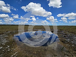 Sunny summer cloudscape over solution hole in Everglades National Park.
