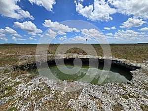 Sunny summer cloudscape over solution hole in Everglades National Park.