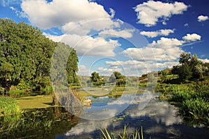 Sunny summer day by the river