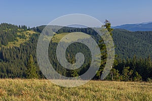 On a sunny summer day, the view from the plateau to the forest and mountains. Blue sky, lots of green grass and trees.