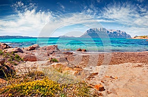 Sunny summer view of Tavolara island from Spiaggia del dottore beach.