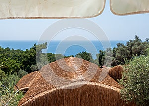 Sunny thatched hut against a clear blue sky and sea