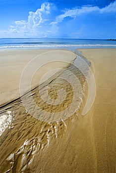 Sunny tropcal beach with water stream