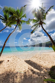 Sunny tropical beach with coco palms and the turquoise sea in tropical island.