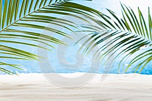 Sunny tropical beach with green palm leaves as frame, white sand, sunlight, horizont, blue sea view. Summer vacation background.