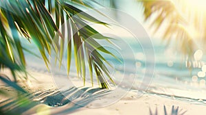 Sunny tropical beach with palm leaves