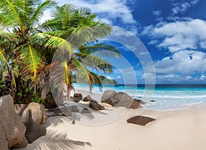 Sunny tropical beach in Seychelles.