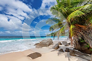 Sunny tropical beach in Seychelles.