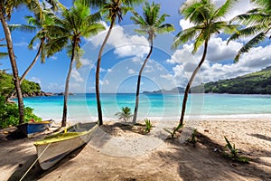 Sunny tropical beach and turquoise sea with palm trees and boats in the sand.