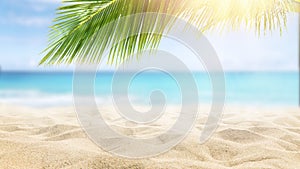 Sunny tropical Caribbean beach with palm trees