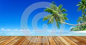 Sunny Tropical Summer Paradise Beach photo