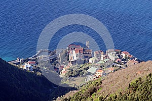 Sunny vico